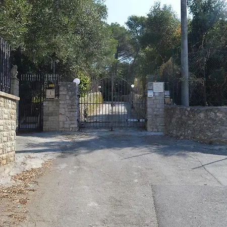 Alice קאסארנו