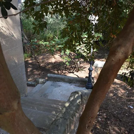 Alice וילה